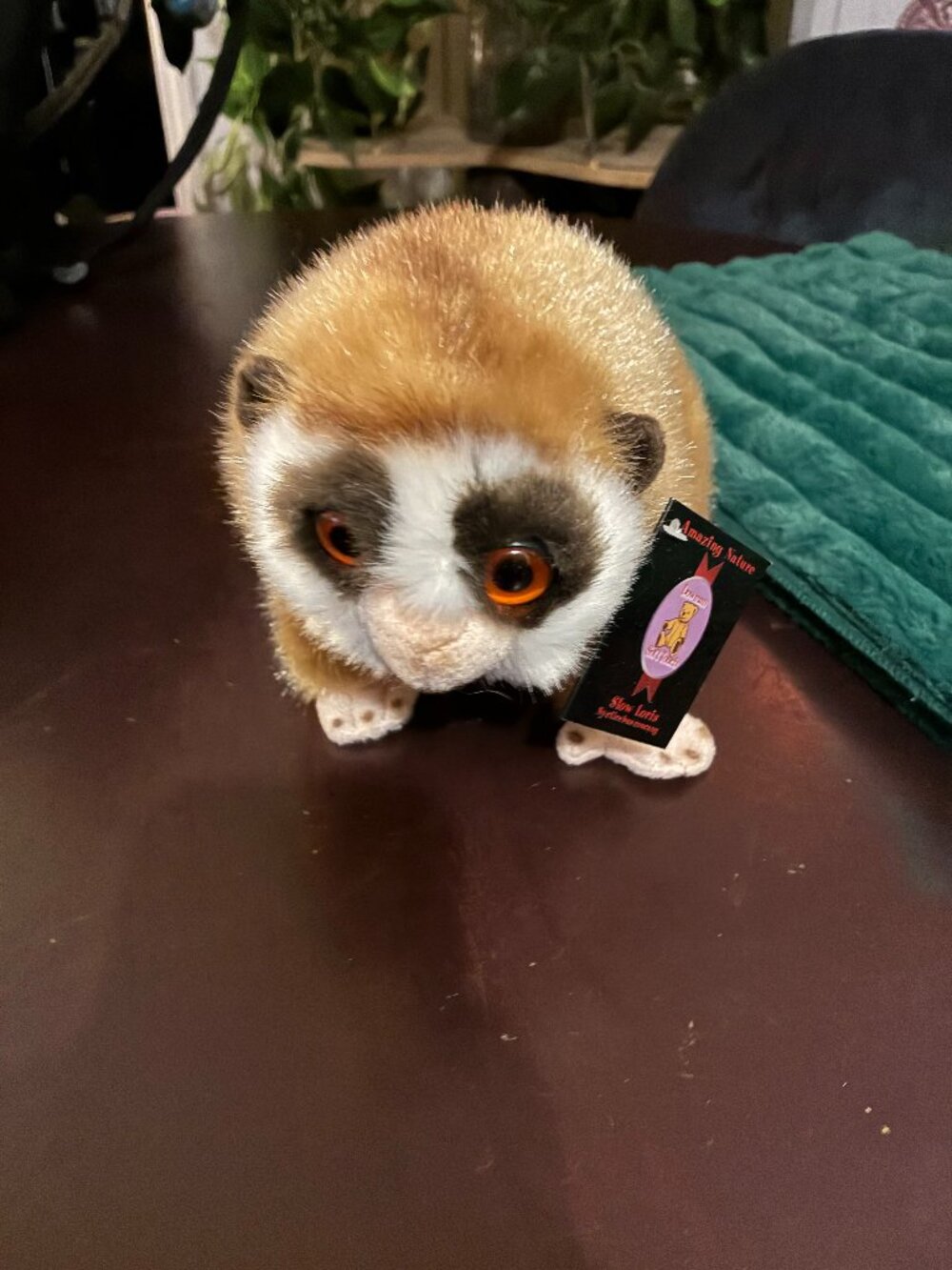 Slow Loris Stuffed Animal Dowman Soft Touch NWT